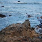 Cambria2010_318 ()